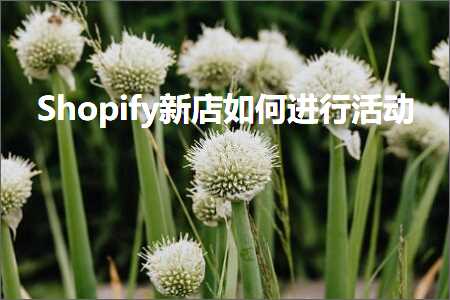 璺ㄥ鐢靛晢鐭ヨ瘑:Shopify鏂板簵濡備綍杩涜娲诲姩