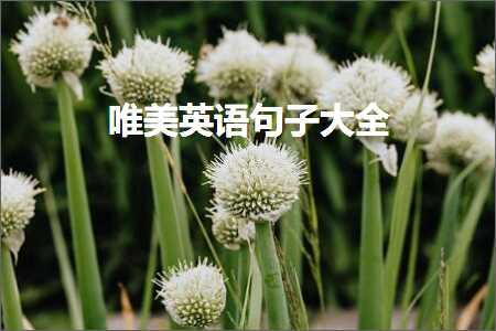 璧炵編铚€缁ｅ敮缇庡彞瀛愶紙鏂囨861鏉★級