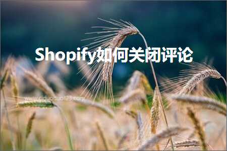 跨境电商知识:Shopify如何关闭评论